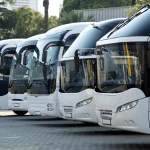 Transit Services Costa del Sol
