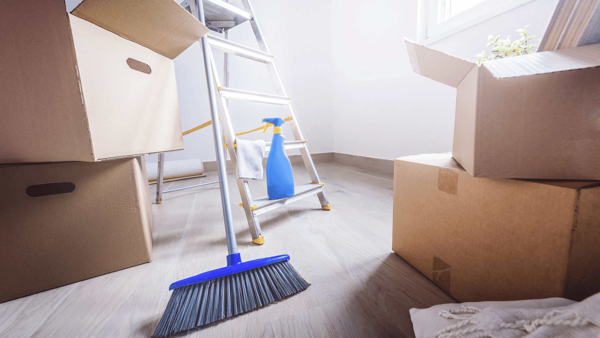 move in and move out cleaning service Costa del Sol